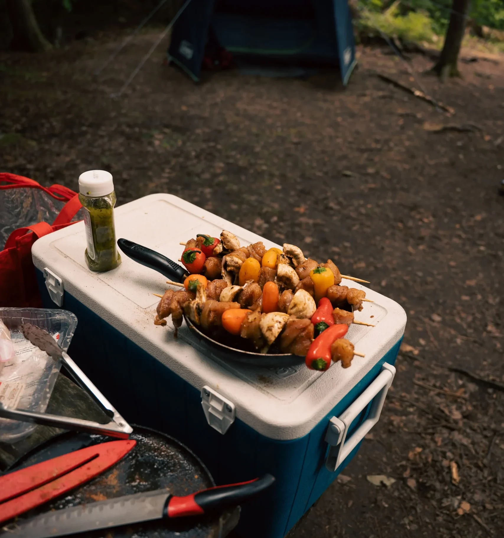 Camping Food: Easy Make-Ahead Meals for the Campsite