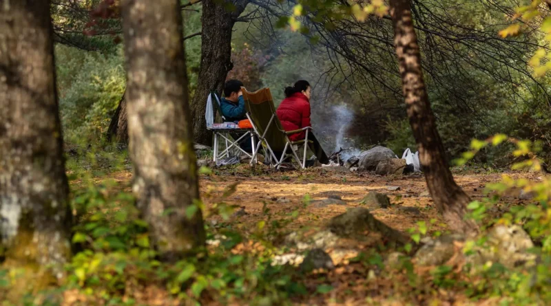 family-friendly campgrounds in British Columbia - lakeside campsite